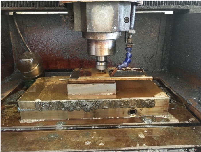 mold