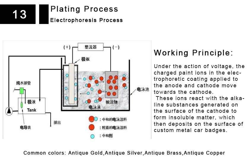 electrophoresis process